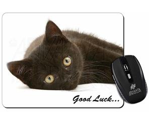 Black Cat "Good Luck" Sentiment