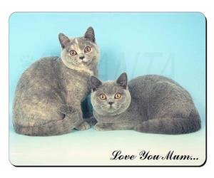 British Shorthair Cats Mum Sentiment