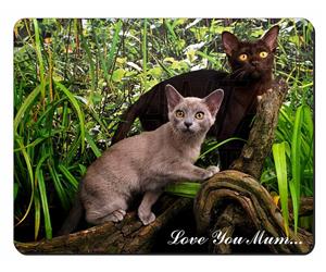 Burmese Cats Mum Sentiment