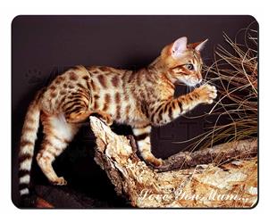 Bengal Kitten Mum Sentiment