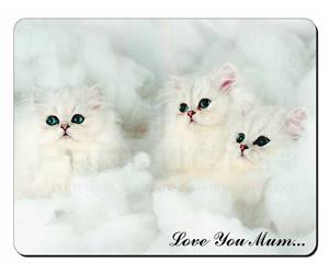 Chinchilla Kittens Mum Sentiment