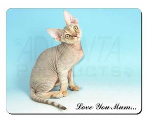 Devon Rex Kitten Mum Sentiment