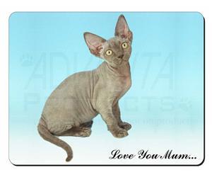 Devon Rex Kitten Mum Sentiment