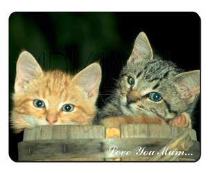 Kittens in Beer Barrel Mum Sentiment