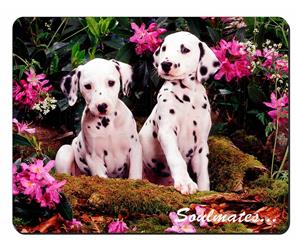 Dalmatian Puppy Dogs 