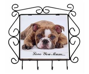 Click Image to See All 38 Different Products Available with this Bulldog