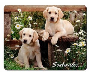 Yellow Labrador Puppy Dogs 