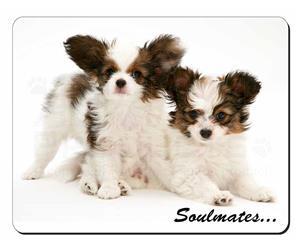 Papillon Puppy Dog Sentiment 