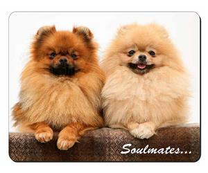 Pomeranian Dogs Sentiment 