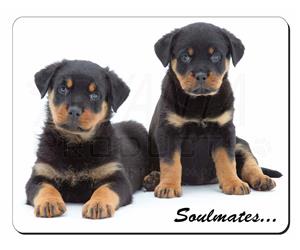 Rotweiller Puppy Dogs 