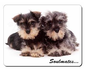 Schnauzer Puppy Dogs 