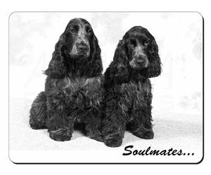 Blue Roan Cocker Spaniel Dogs 