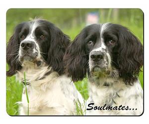 Springer Spaniel Dogs Sentiment