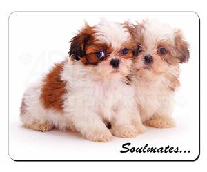 Shih-Tzu Dogs Sentiment 