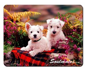 West Highland Terrier Dogs 