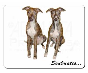 Whippet Dogs Sentiment 