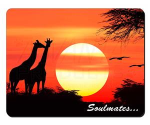 Sunset Giraffes 