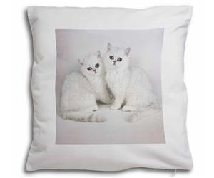 Click Image to See All Exotic Cats and Kittens and Products Available in this Section