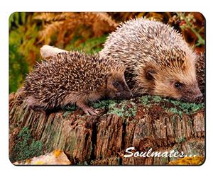 Hedgehogs 