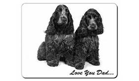 Cocker Spaniels 