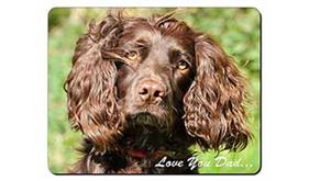 Cocker Spaniel Dog 