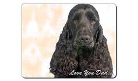 Cocker Spaniel 