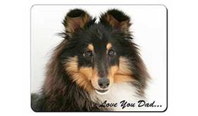 Tri-Col Sheltie Dog 