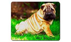 Shar-Pei Dog 