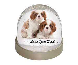 Cavalier King Charles 