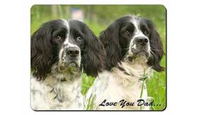 Springer Spaniel Dogs 