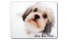 Shih-Tzu Dog 