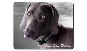 Weimaraner Dog 