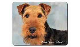 Welsh Terrier Dog 