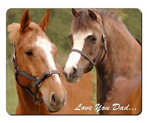 Horse Montage Sentiment