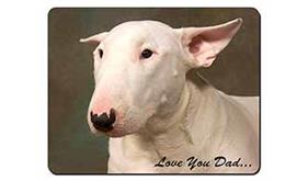 Bull Terrier Dog 