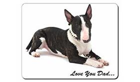 Bull Terrier Dog 