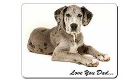 Great Dane Dog 