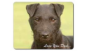 Patterdale Terrier 