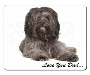 Tibetan Terrier Dog 