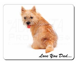 Cairn Terrier Dog 