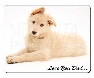 White German Shepherd 