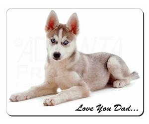 Siberian Husky Dog 