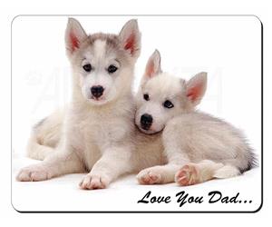 Siberian Huskies 