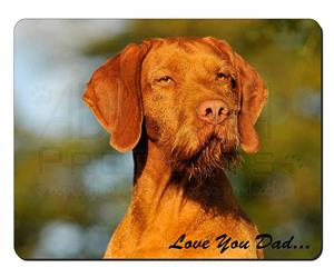 Wirehaired Vizsla 