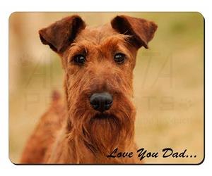 Irish Terrier Dog 