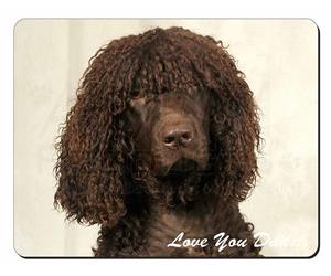 Irish Water Spaniel 