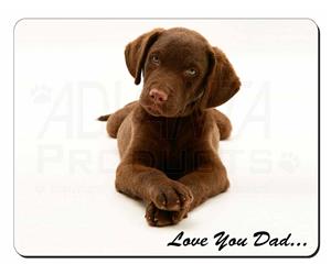 Chocolate Labrador Dad Sentiment