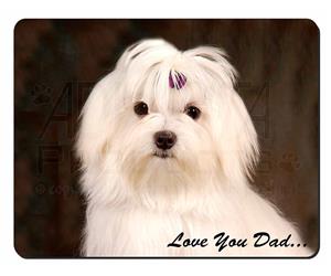 Maltese Dog 