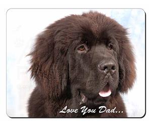 Newfoundland Dog 