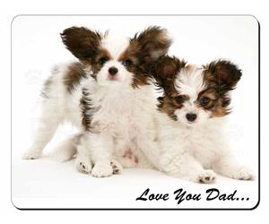 Papillon Dogs 